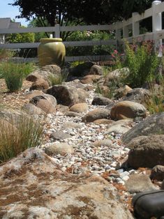 a garden with rocks and plants in the foreground