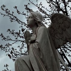 an angel statue sitting in front of a tree