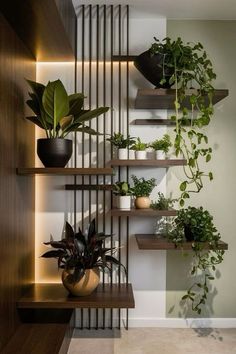 some plants are sitting on shelves in a room