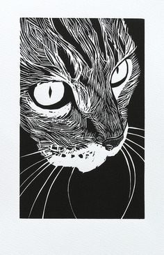 a black and white drawing of a cat's face with large, glowing eyes