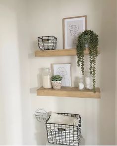 two shelves with plants and pictures on them in a bathroom area next to a toilet