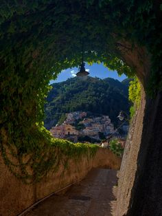 a tunnel with vines growing on it and a town in the distance