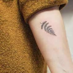 a fern leaf tattoo on the arm