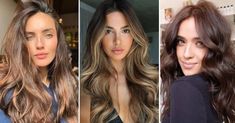 Tintes de cabello para morenas claras 4 tonos que aportan luz sin Welcome 2023, Blonde Dye, Bronze Hair, Dye Colors, Chestnut Color, Golden Blonde, End Of The Year, Shakira, Brown Skin