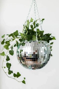 a mirror ball hanging from a plant with green leaves on the bottom and in the middle