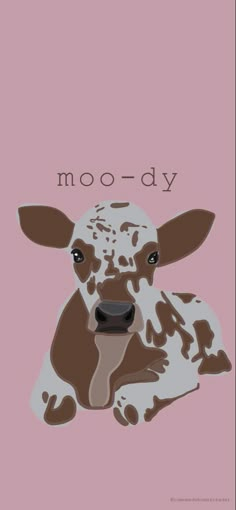 a brown and white cow laying down with the words moo - dy on it