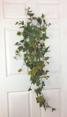 a door with ivy growing on it