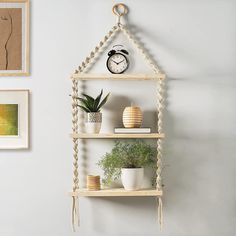 three shelves with plants and pictures on the wall