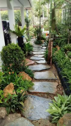 a stone path in the middle of a garden