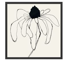 a black and white drawing of a flower with long petals in the center, on a beige background