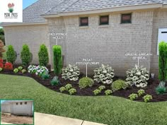 a brick house with landscaping around it and labeled parts of the front yard garden area