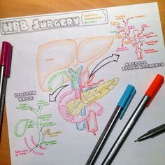 a drawing of the human body with markers and pens