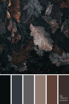 the color palette is brown, black and grey with some leaves on top of it