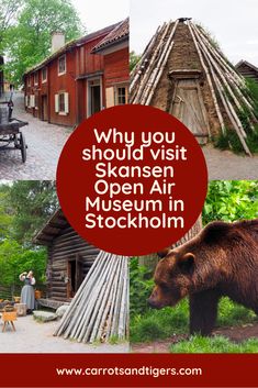 an open air museum in stockholm with people looking at it and a brown bear standing outside