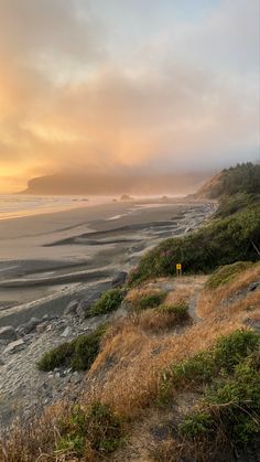 the path to the beach is empty and foggy