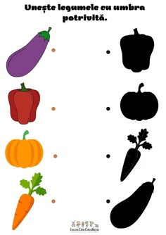 the shadow game for children to learn how to draw vegetables