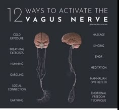 Rest And Digest, Nervus Vagus, Somatic Healing, The Vagus Nerve, Flight Mode, Vagus Nerve, Therapy Tools