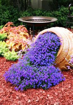 purple flowers are growing out of a barrel in the middle of a flowerbed garden