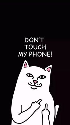 a white cat with the caption don't touch my phone