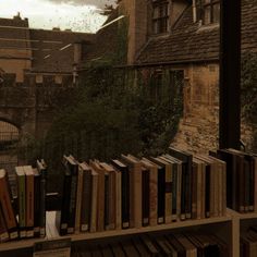 there are many books lined up on the shelves in front of the building and trees