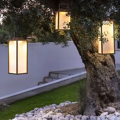 a tree that is sitting in the grass next to some rocks and lights on it