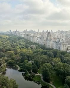 an aerial view of central park in new york city, with the surrounding trees and buildings