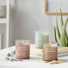 three candles sitting on top of a table next to a potted succulent