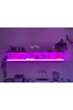 a shelf with some plants and other items on it in the dark, lit up by purple light