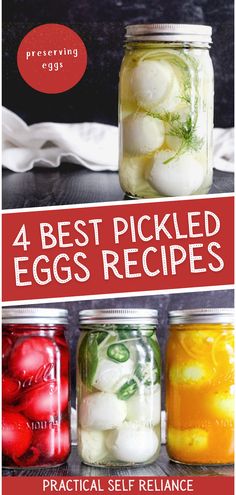 four mason jars filled with pickled eggs in each jar and the text, 4 best pickled eggs recipes practical self reliance