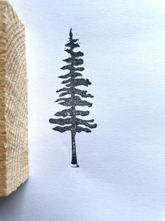 a drawing of a pine tree is shown in black ink on white paper next to a piece of burlock