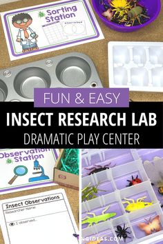 insect research lab for kids with text overlay that reads fun and easy insect research lab dramatic play center