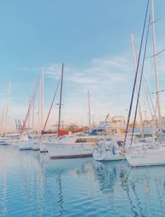 several sailboats are docked in the water near each other on a sunny day with blue skies