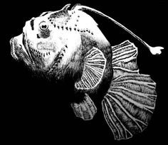 a black and white drawing of a fish