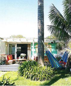 a couple of hammocks hanging from a palm tree in front of a house