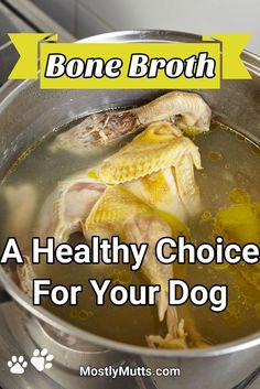 bone broth is a healthy choice for your dog