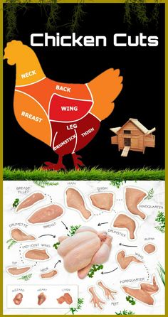 the chicken cuts are labeled in red and yellow, with words describing how to cut them