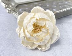 Sola Wood Flowers - White Peony - Luv Sola Flowers Flowers Peony, Enchanted Rose, White Peony, Forever Flowers, Peony Flowers, Wood Flowers, Wooden Flowers, White Peonies, Wooden Wedding