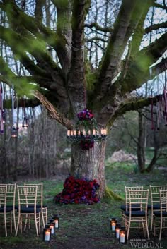 an outdoor ceremony setup with candles and flowers on the ground next to a large tree