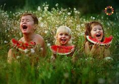 three young children eating watermelon in a field