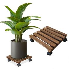 a potted plant sitting on top of a wooden pallet next to a bench