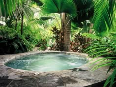 an outdoor hot tub surrounded by tropical plants