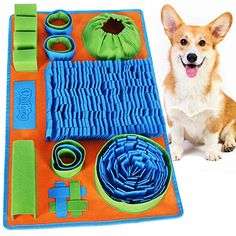 a small dog sitting next to a play mat