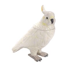 a white bird with yellow feathers is standing on its hind legs and it's head turned to the side