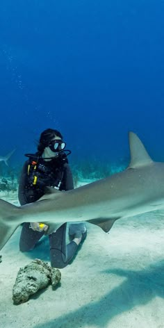 a man in scuba gear is swimming with a shark