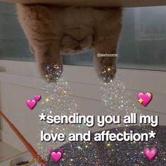 a cat is sitting on top of a table with hearts and bubbles in the air