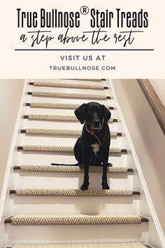 a black dog sitting on top of a set of stairs with the words truebulls stair treads above it