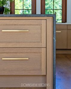 a kitchen with wooden cabinets and plants on the counter