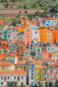 the colorful buildings are all different colors and sizes in this photo, with trees around them