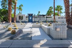 an outdoor courtyard with cactus and palm trees