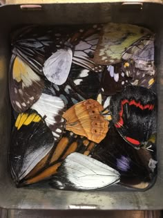 several different colored butterflies in a metal container